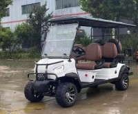 4+2 Double-Row 6-Seater Golf Cart Model A